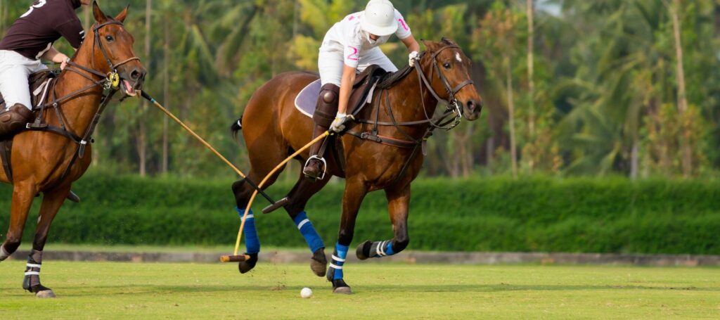 photo of two riders on brown horses fighting for the ball at a polo match