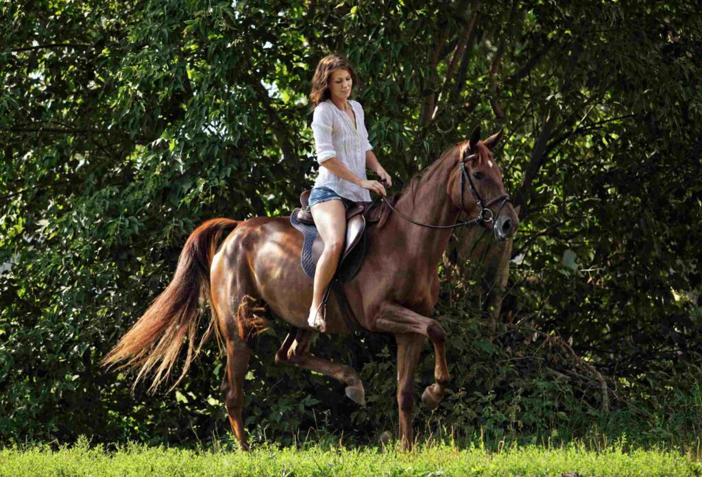 photo of a beautiful girl in short shorts and no shoes on a gorgeous brown horse