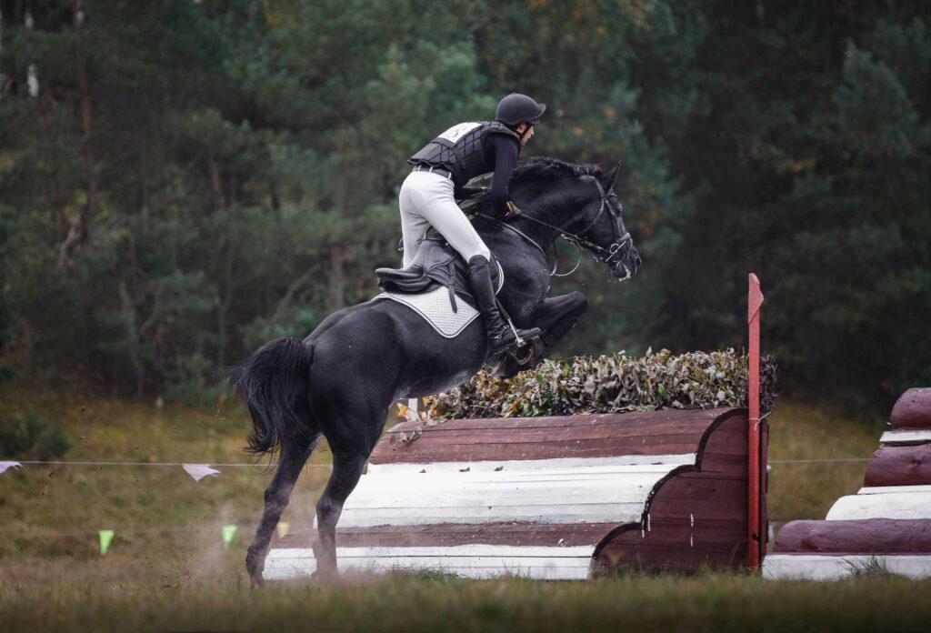 photo of cross country competition, a rider in white pants and black jacket on a gorgeous black horse makes a jump over an obstacle