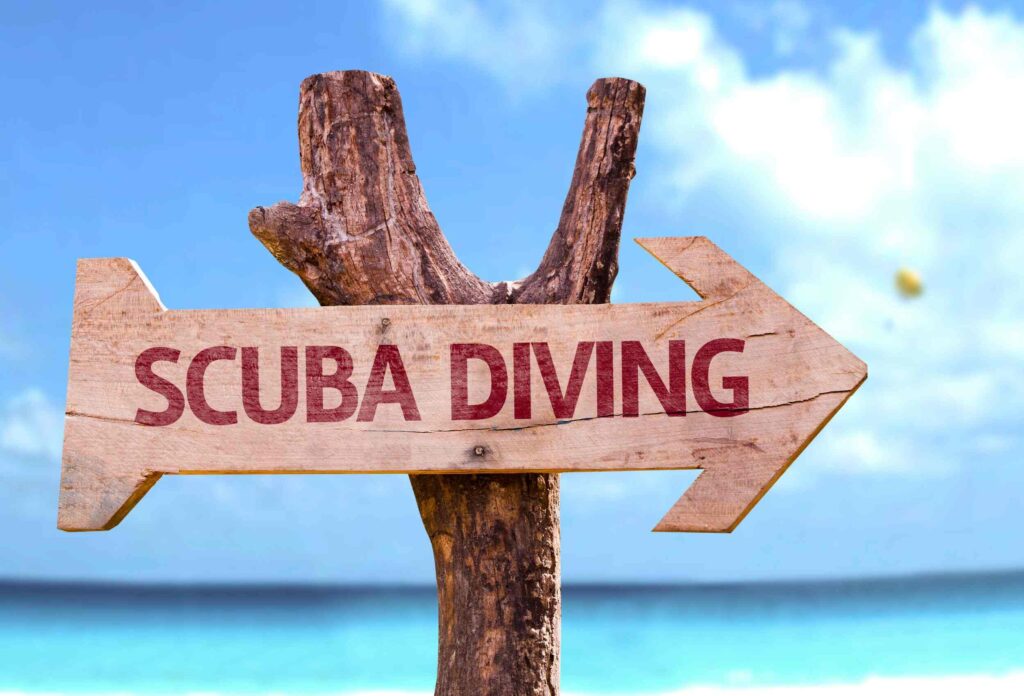 a sign in the form of an arrow attached to a tree that says scuba diving against a background of blue sky and blue ocean