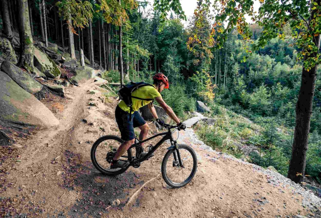 A man on a mountain bike wearing a helmet, green T-shirt and blue shorts makes an extreme descent down a winding narrow trail between trees