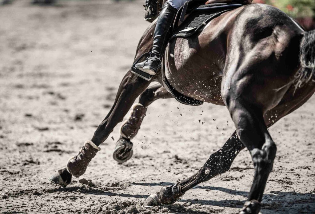 Image of a beautiful dark brown horse dynamically turning to the right with rocks flying from under its hooves