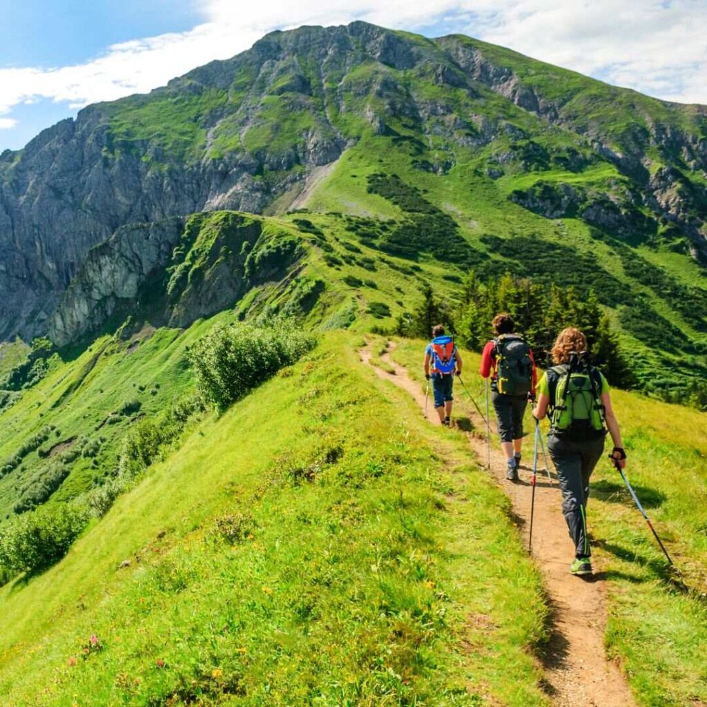photo of 3 hikers hiking in the mountains where there is a lot of greenery