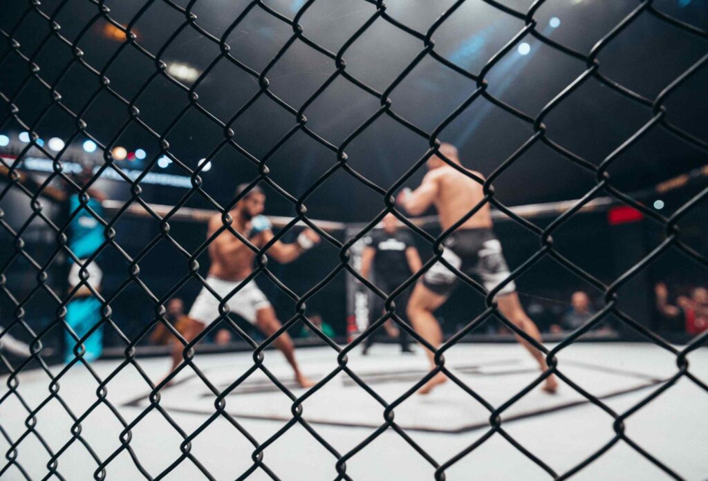 men doing MMA in the cage