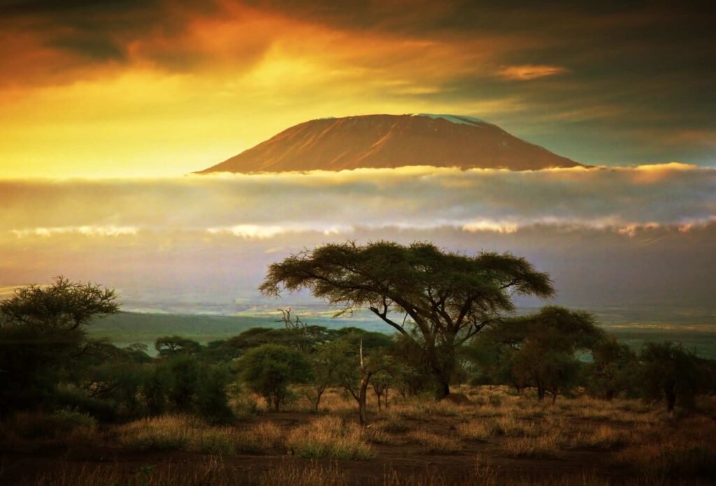 photo of Mount Kilimanjaro against a backdrop of trees and a beautiful view, with the peak of the mountain peeking out of the low clouds